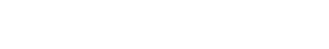 site logo stansio